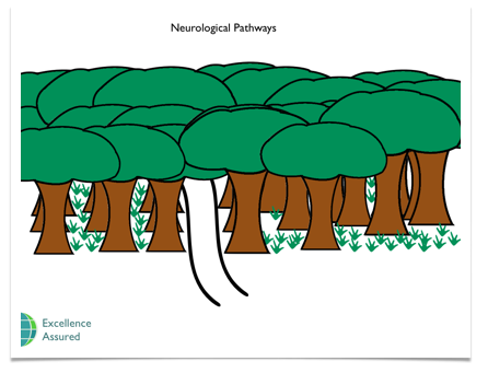 neurological pathway in woods