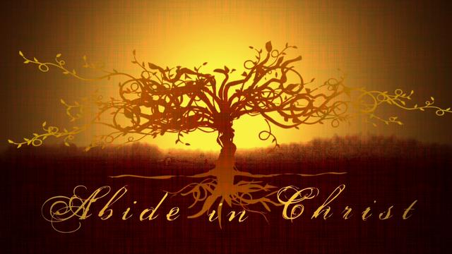 abide-tree